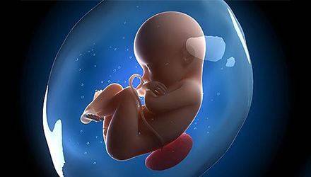 体外受精 IVF-ET