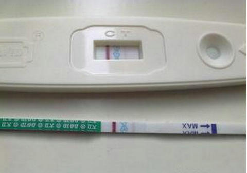 卵子凍結保存